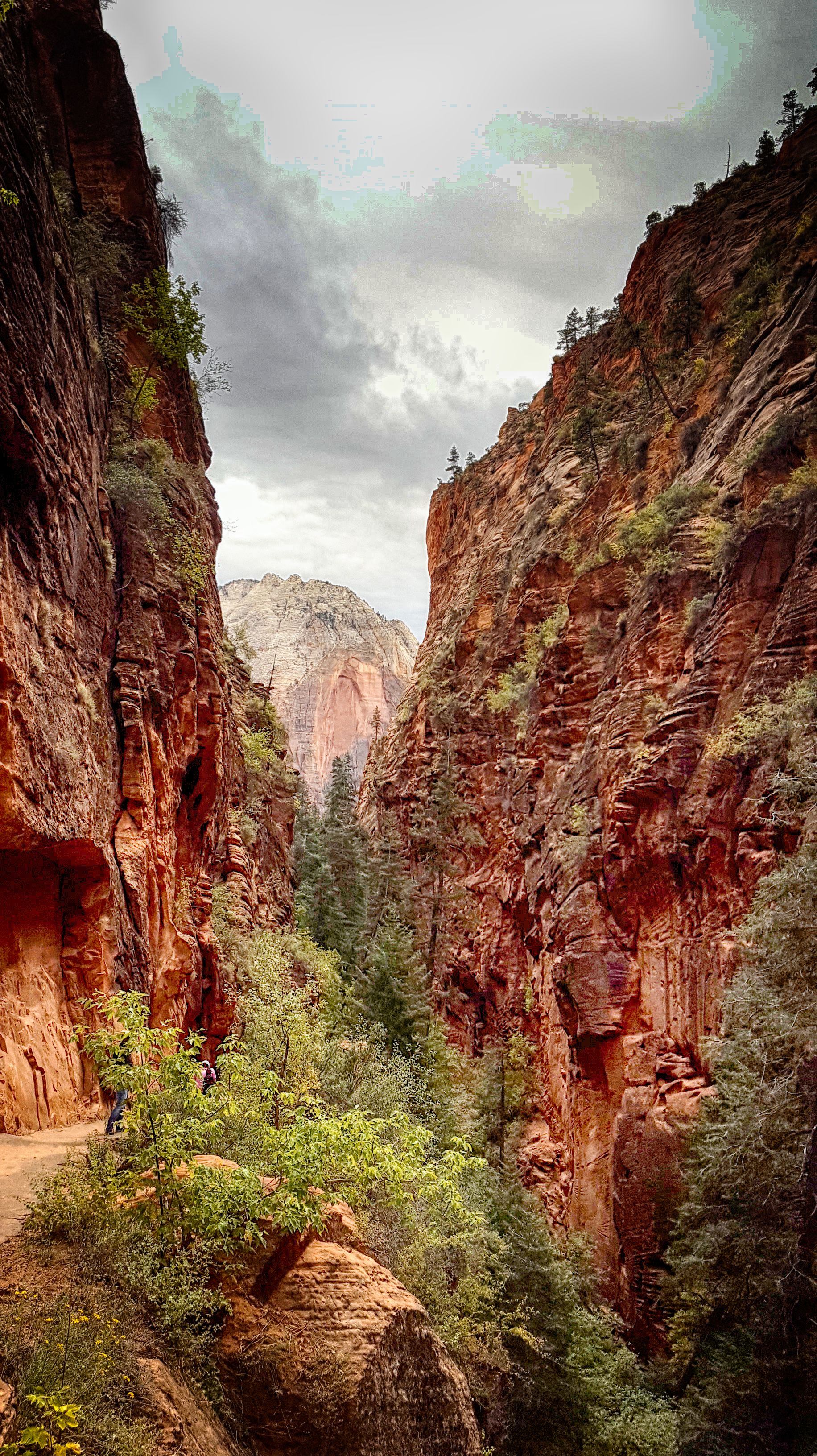  Narrow Valley